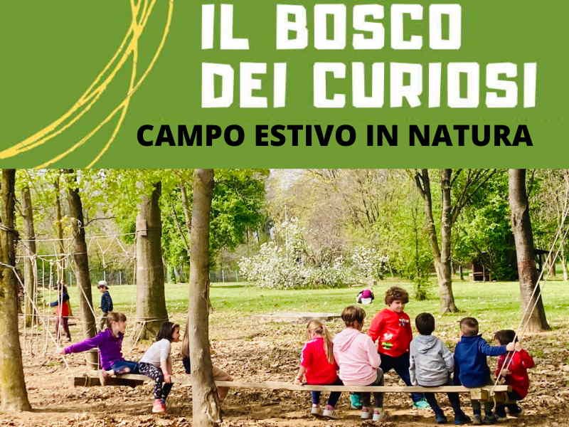 Campo estivo il BOSCO DEI CURIOSI a Cassano Magnago!