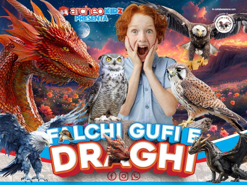 Falchi draghi e gufi