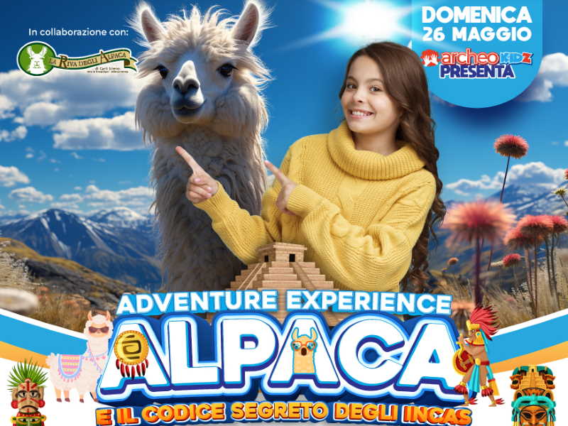 alpaca codice segreto incas