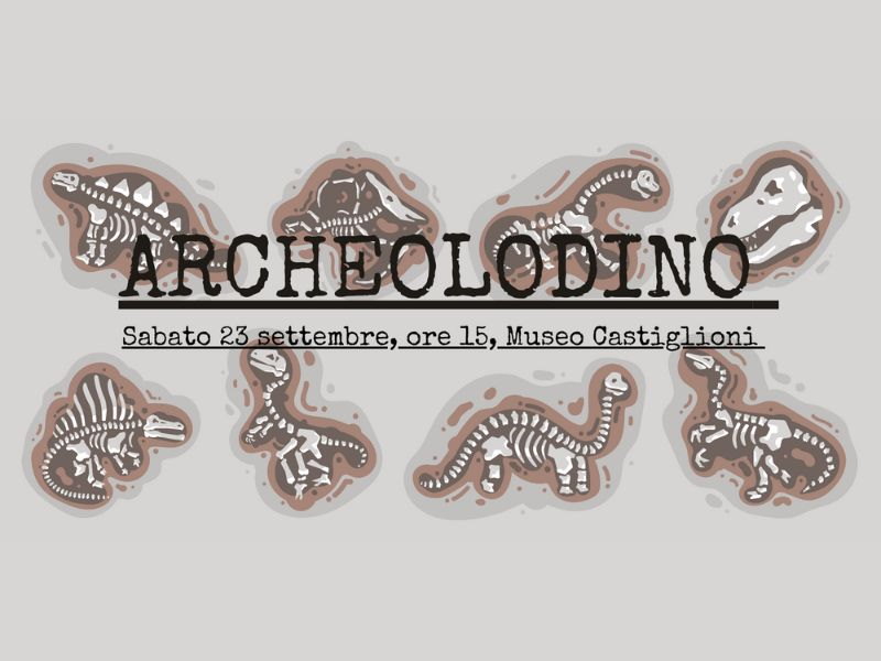 archeolodino museo castiglioni va
