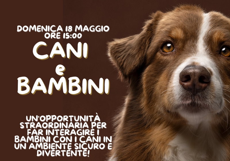 cani e bambini varese