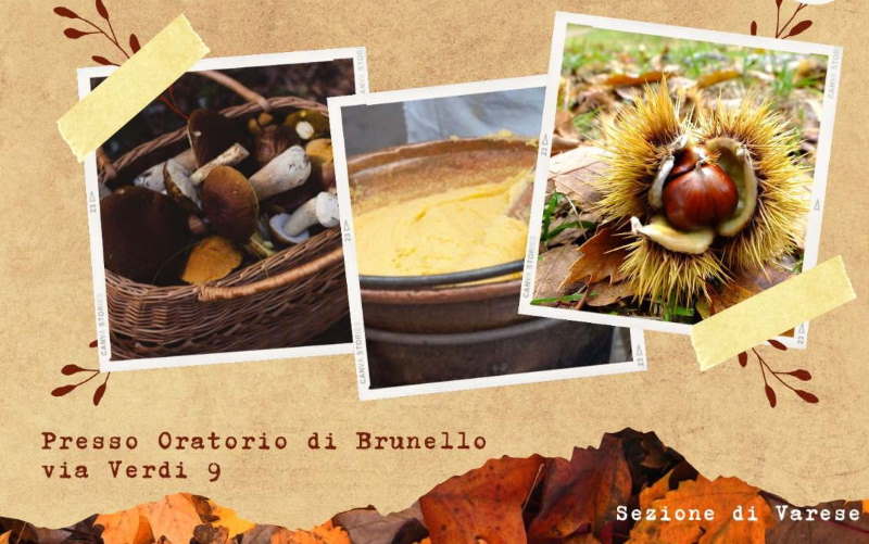 castagnata alpina brunello