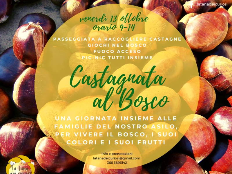 castagnata bosco curiosi