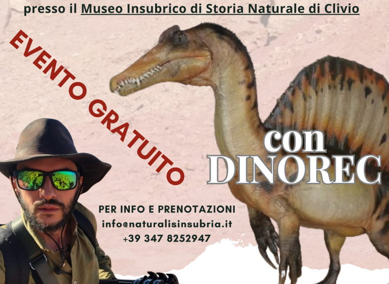 dinorec clivio