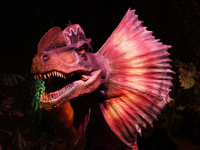 dinos alive milano rosso