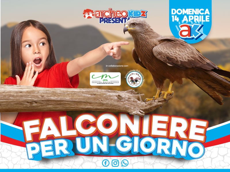 falconiere per un giorno