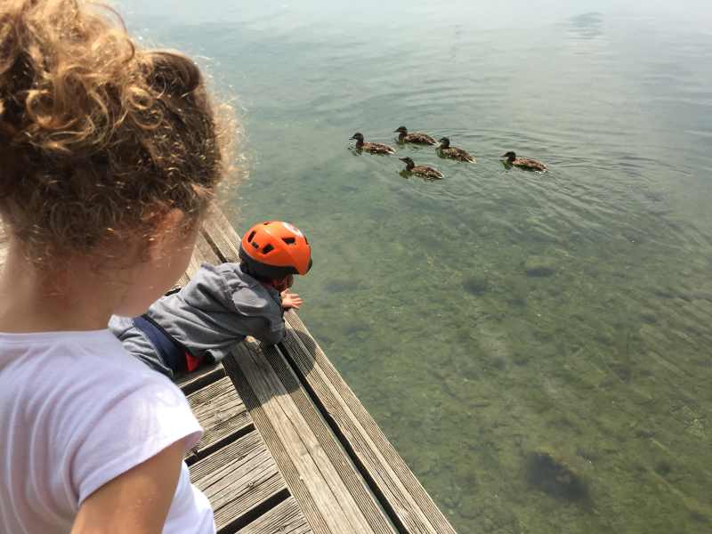 gavirate ciclabile lago varese