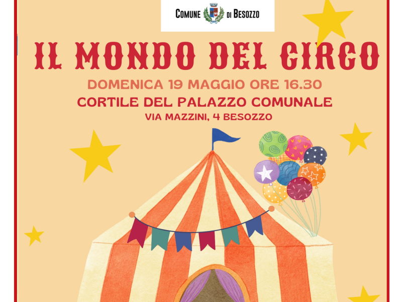 il mondo del circo besozzo