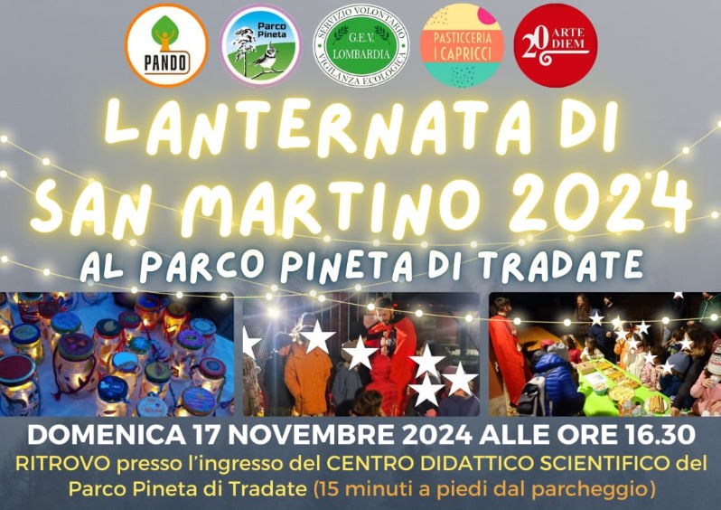 lanternata san martino parco pineta 24
