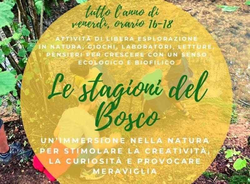 le stagioni del bosco