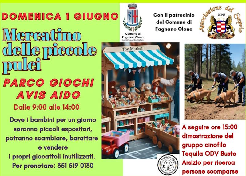 mercatino delle piccole pulci