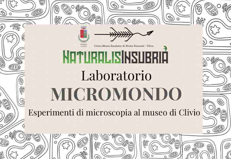 micromondo clivio microscopio