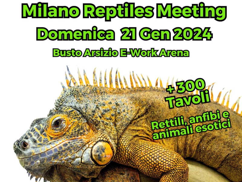 milano reptiles meeting busto