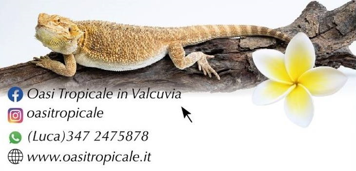 oasi tropicale valcuvia