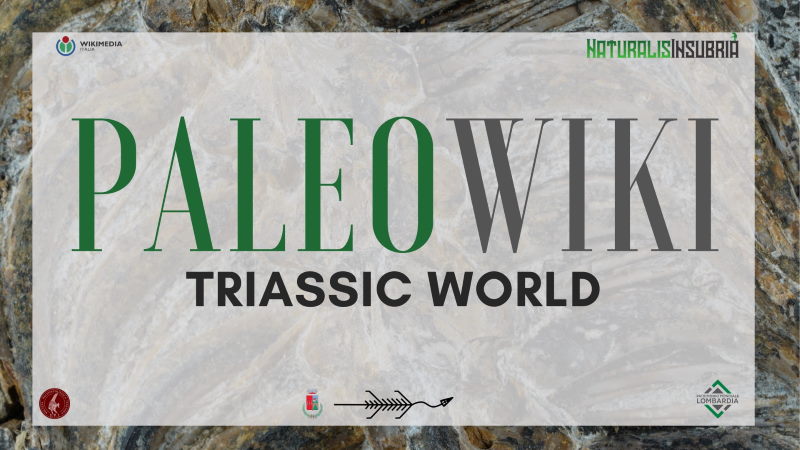 paleowiki clivio
