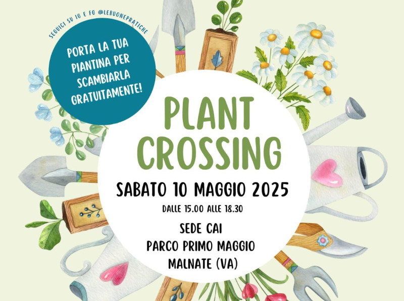 plant crossing malnate