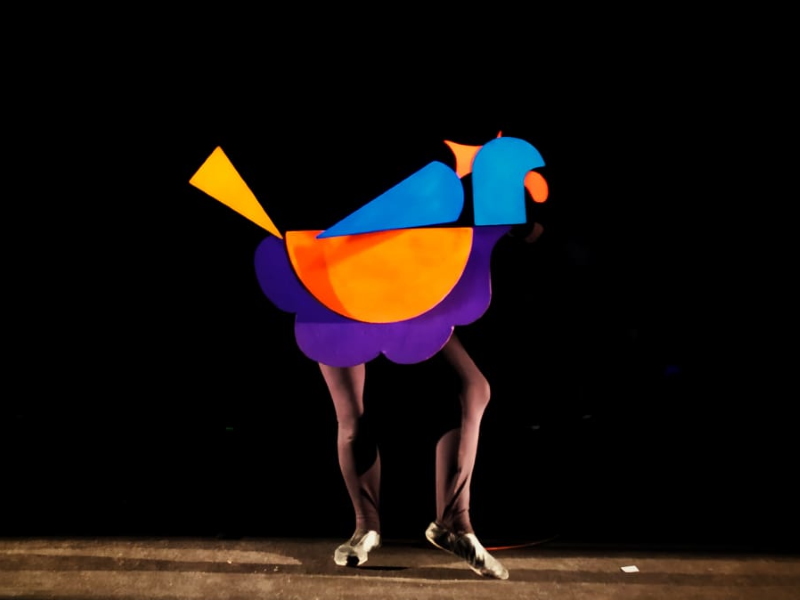 spettacolo carnaval busto gallina