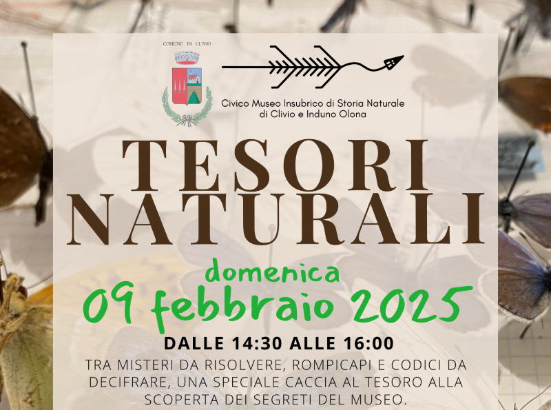 tesori naturali museo clivio