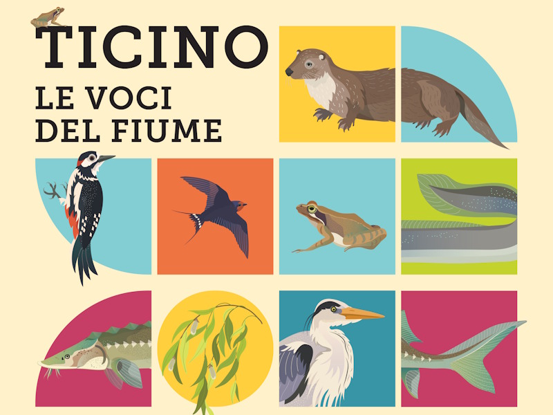 ticino le voci del fiume