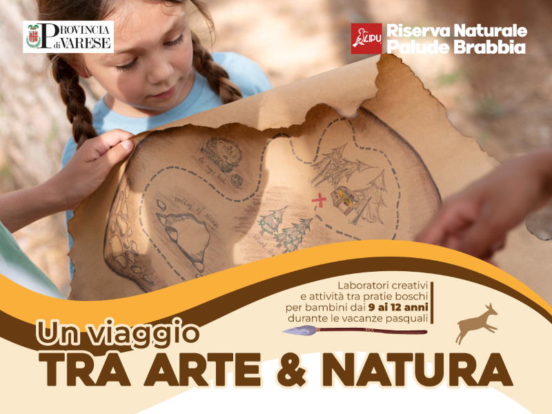 tra arte e natura palude brabbia