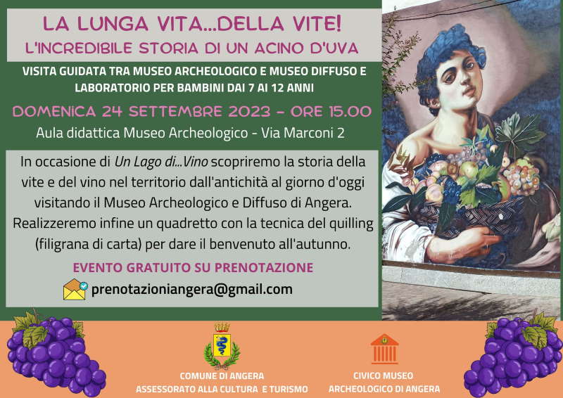 visita lab vite angera