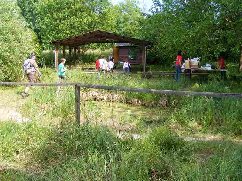 vita sotto acqua brabbia