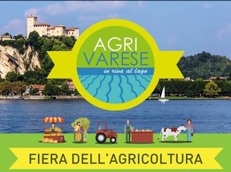 Agrivarese ad Angera: una domenica tra cavalli, giochi e laboratori per bambini