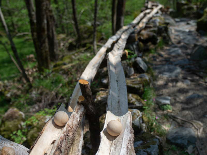 BoBosco, una pista di biglie nel bosco!