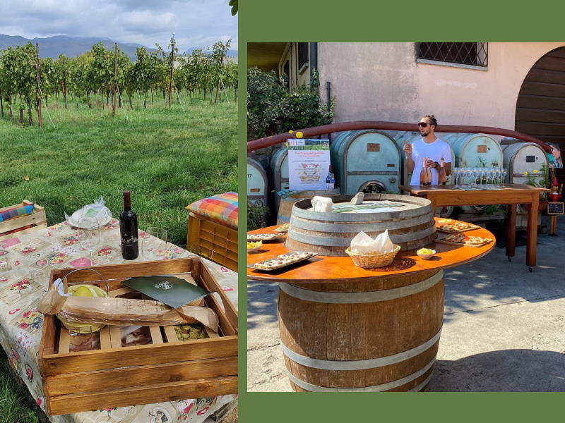 Vendemmia Pecis picnic