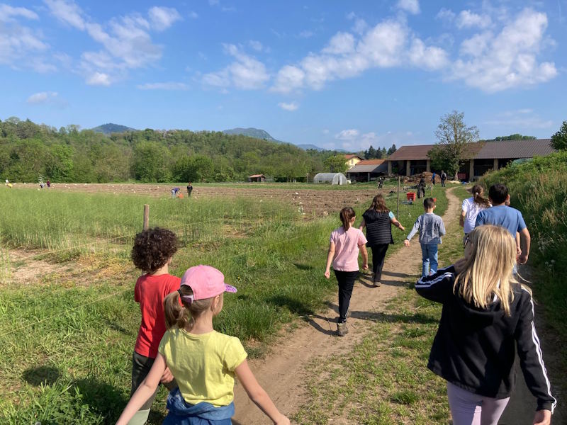 A spasso nella Bevera: escursione gratuita per bambini