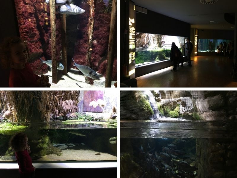 acquario di milano vasche