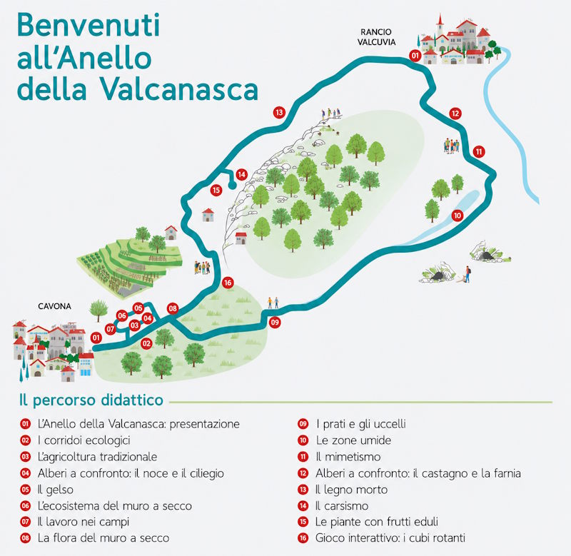 anello valcanasca anello