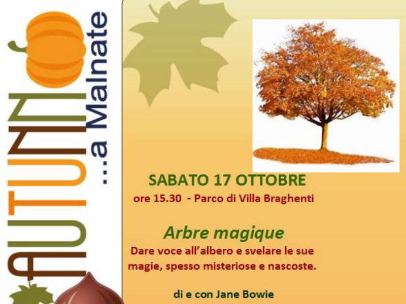 Spettacolo Arbre Magique a Malnate