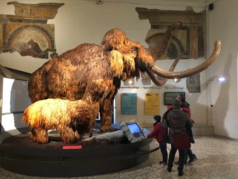 bambini piove mammut bg