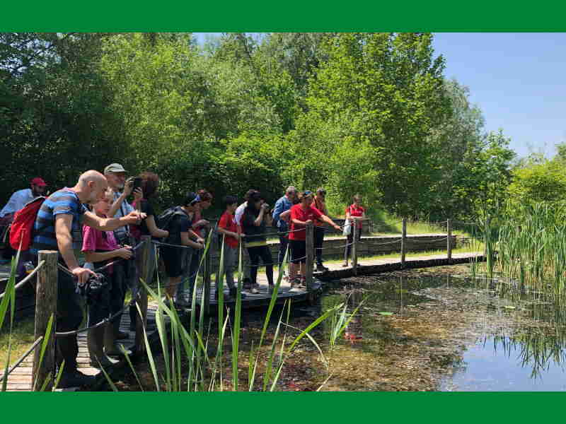Tutti in Natura alla Riserva della Palude Brabbia