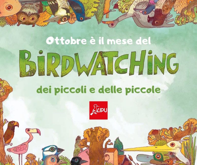 birdwatching dei piccoli palude