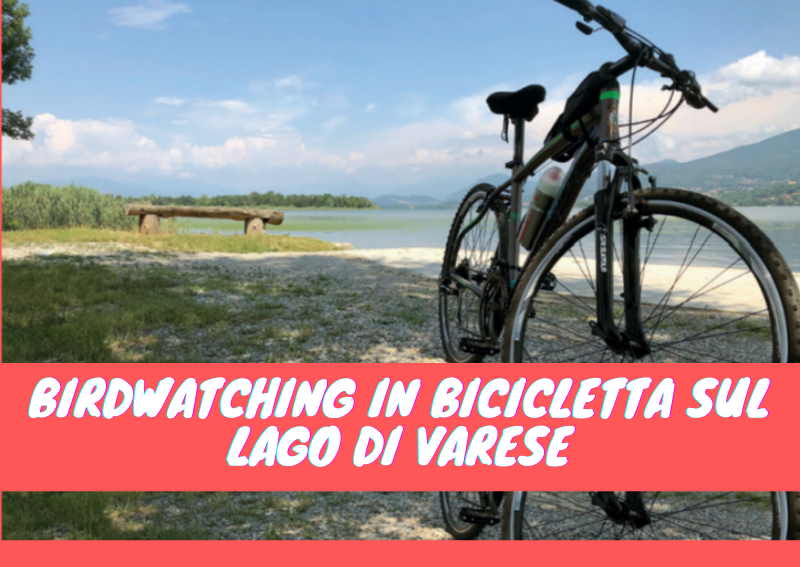 noleggio biciclette lago di varese