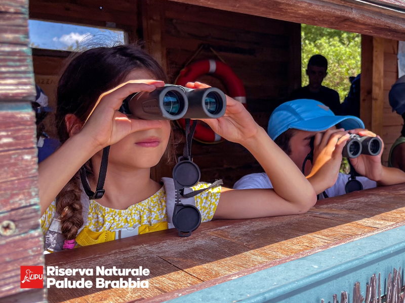 Birdwatching, passeggiate e caccia al tesoro in Palude Brabbia