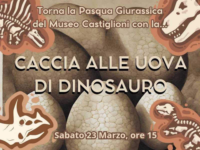 Caccia alle uova di dinosauro al Museo Castiglioni di Varese