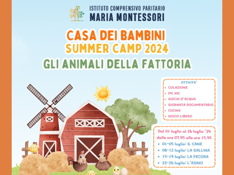 campi estivi montessori castellanza casa dei bambini