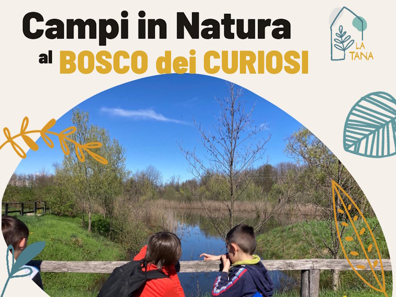 Campo estivo il BOSCO DEI CURIOSI di Cassano Magnago