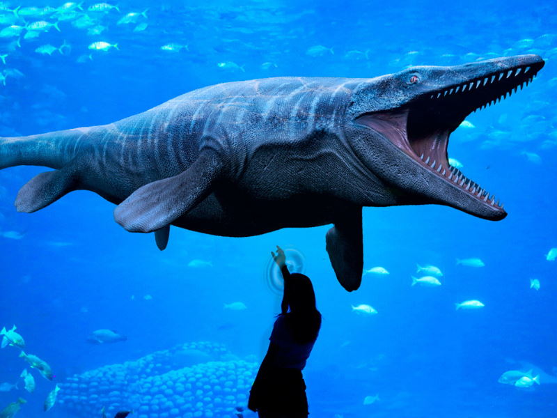 dinos alive milano acquario virtuale