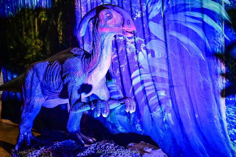 dinosaurs world dino