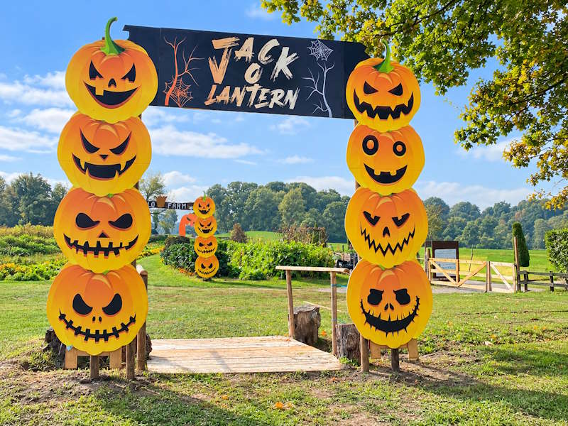 festa delle zucche vegonno campo