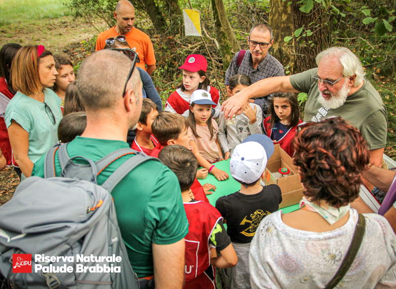 festa oasi lipu palude brabbia