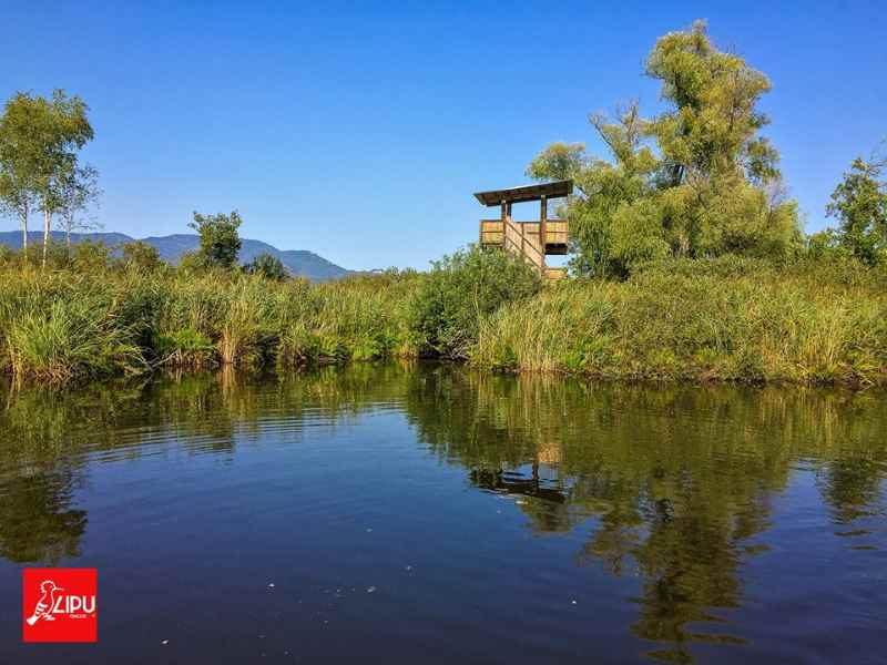 foto torretta oasi palude brabbia