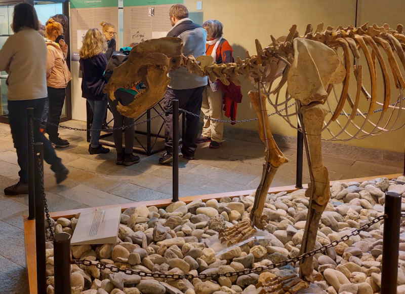 grotte di ara museo conti