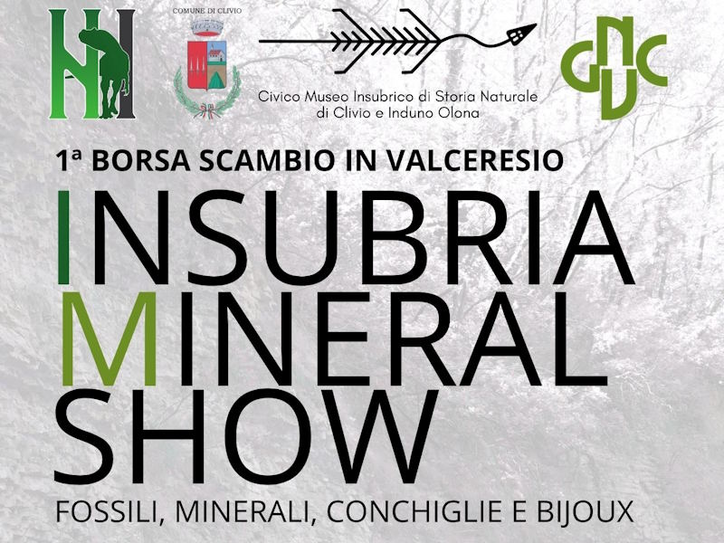 Insubria Mineral Show 2026 a Clivio