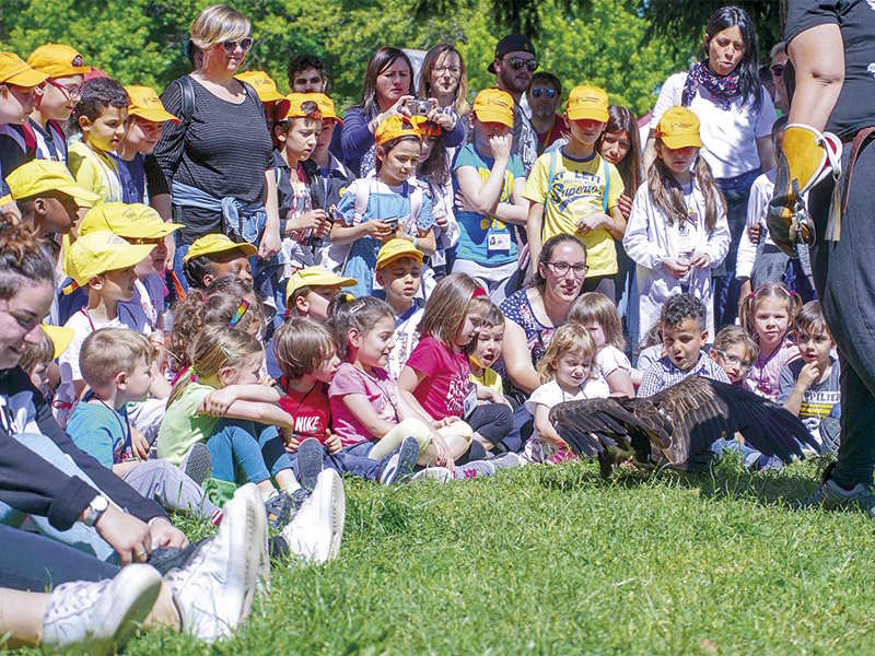 la fattoria in citta vercelli rapaci