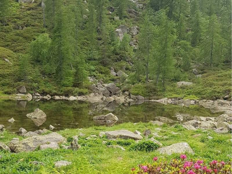 lago delle bose oropa